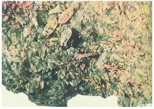 配资网上 水稻不普及的时候，古代人吃的都是什么“饭”？